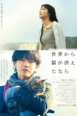 Если кошки исчезнут во всём мире 